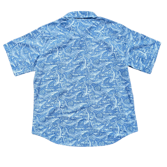 Humpbacks And Tigers