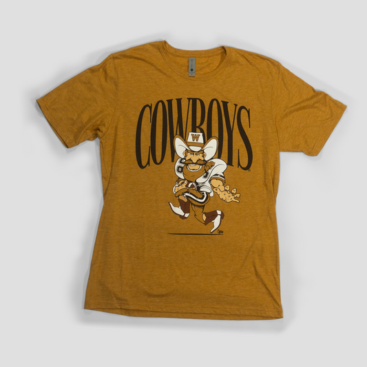 Vintage Cowboys Football