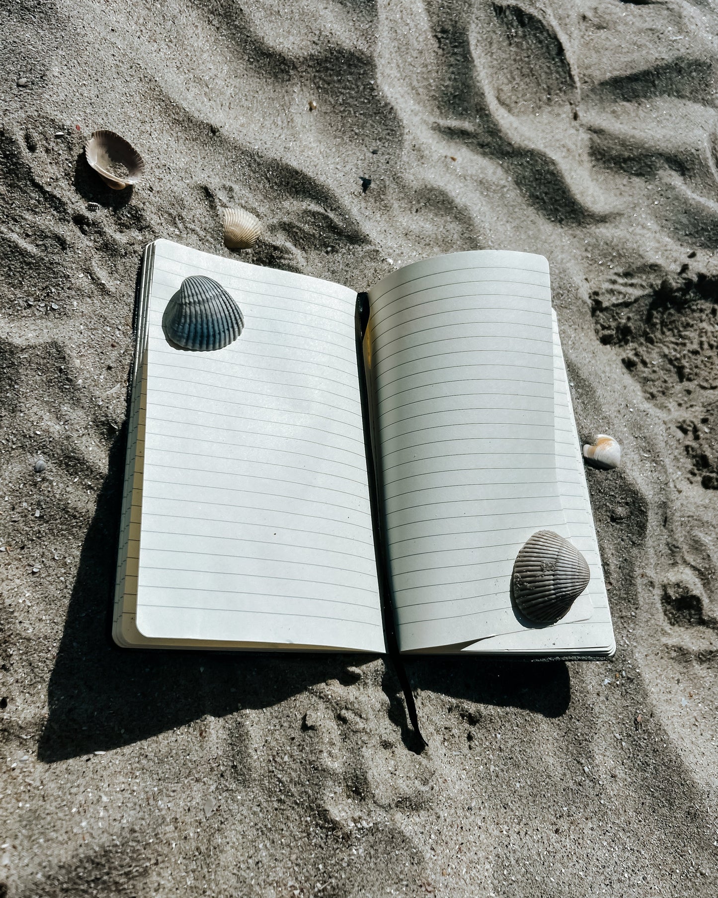 IGWM Notebook- Black