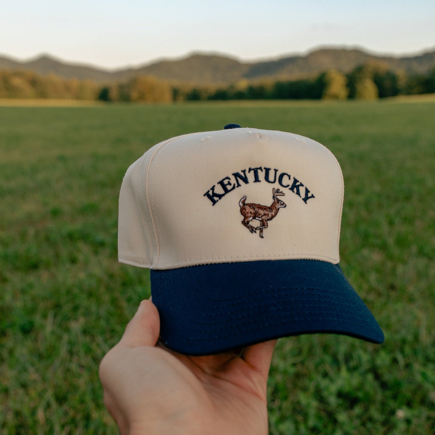 Kentucky Buck Hat ( Navy & Natural )