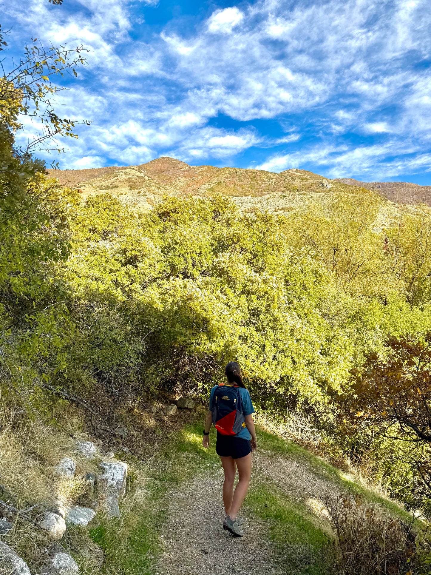 Timpanogos Elevation 22L Backpack (Alta)
