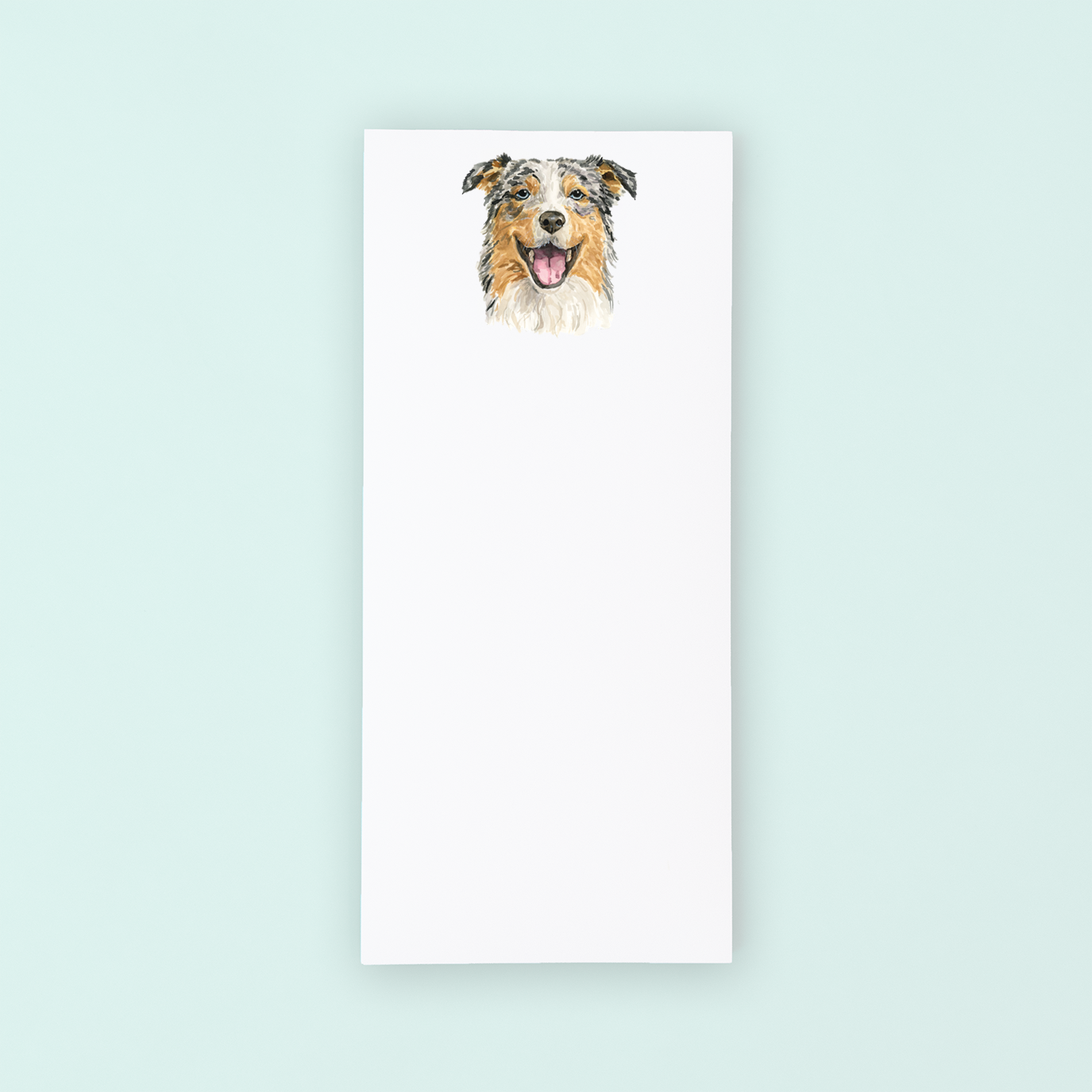 Australian Shepherd Portrait