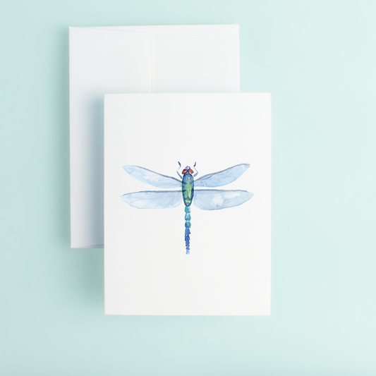 Dragonfly