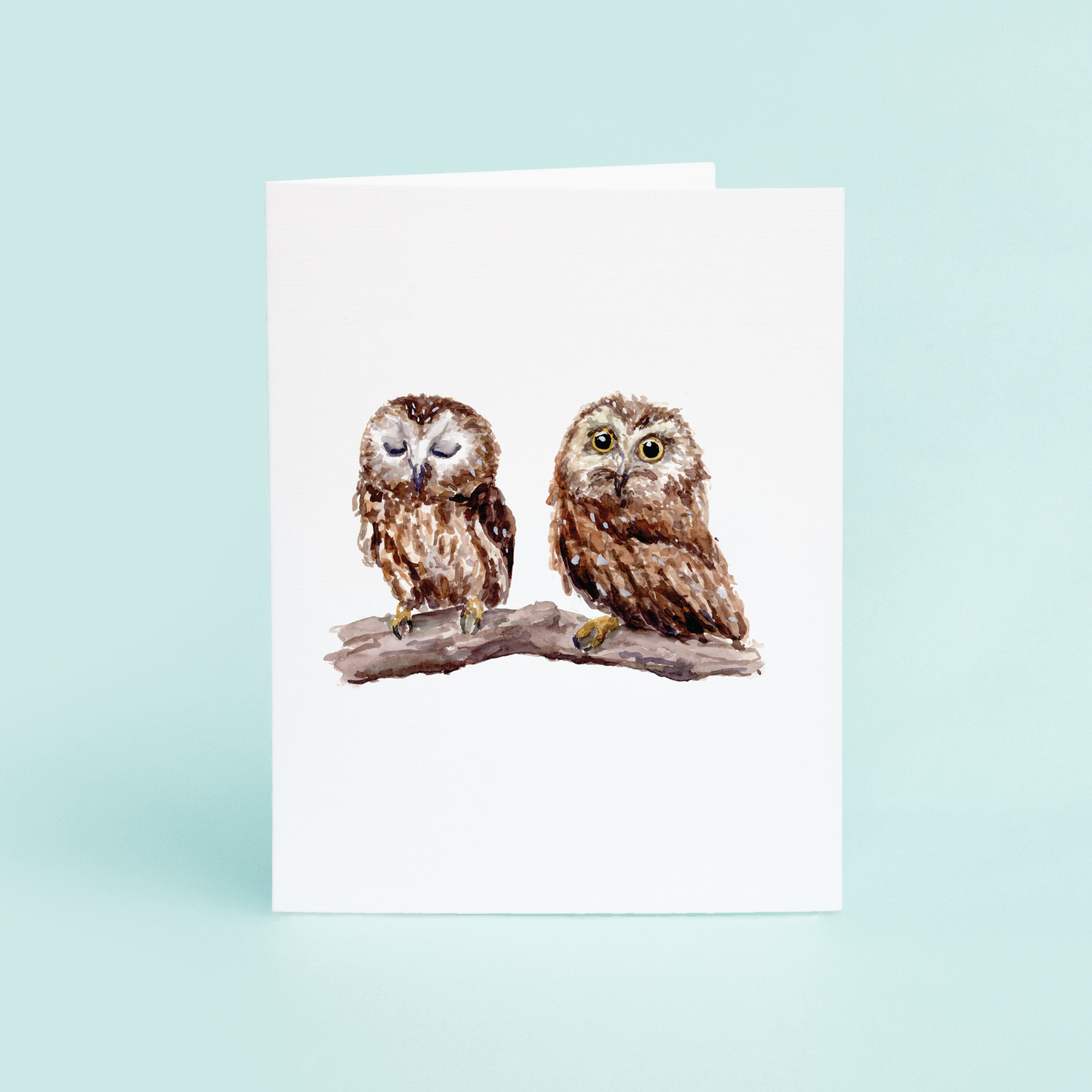 Baby Owls