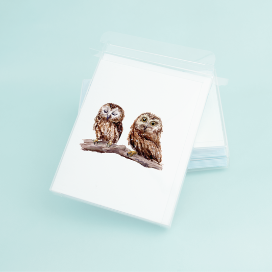 Baby Owls