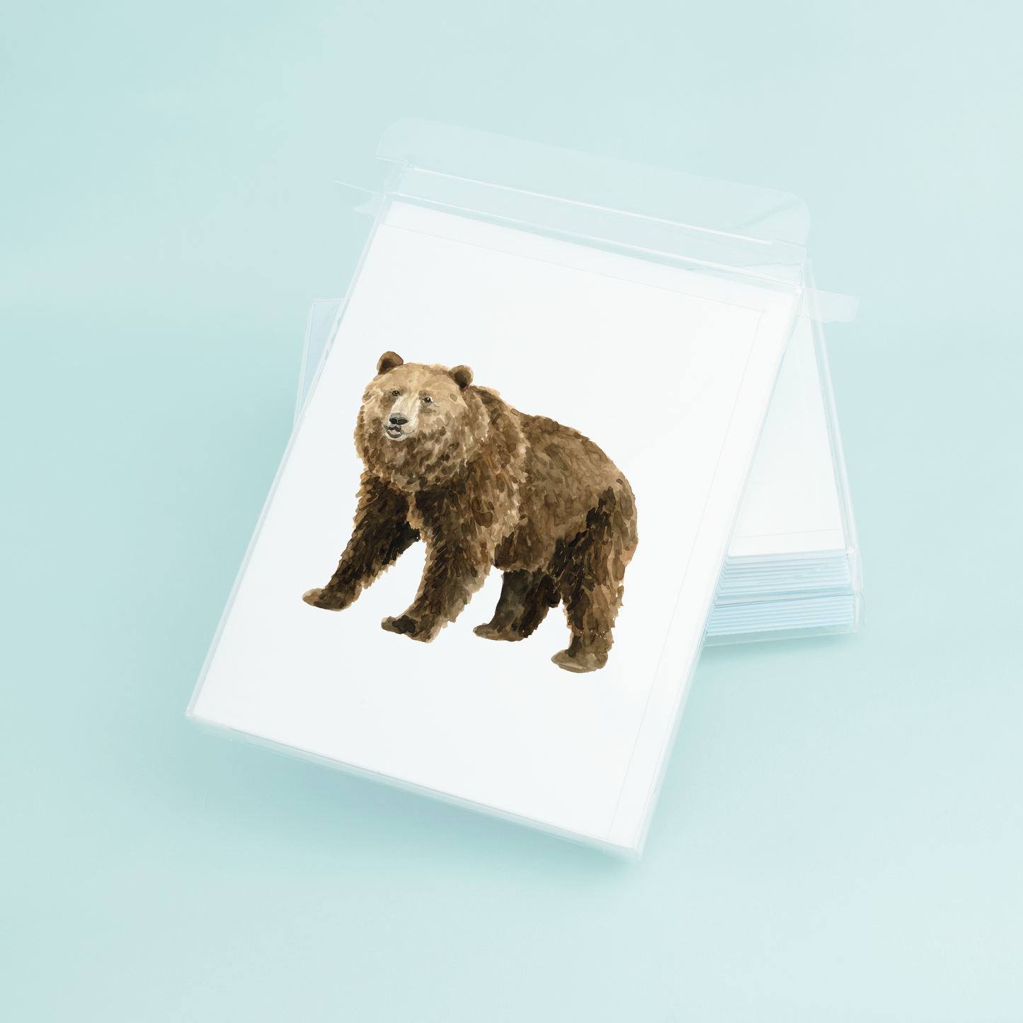 Bear