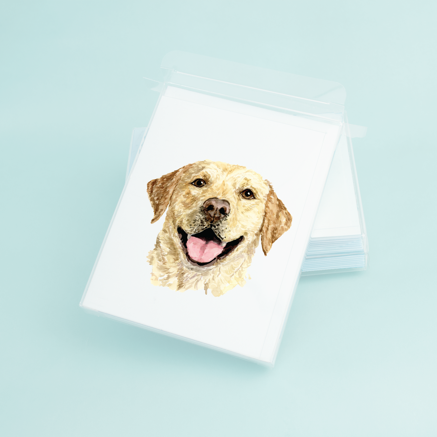 Yellow Lab Portrait
