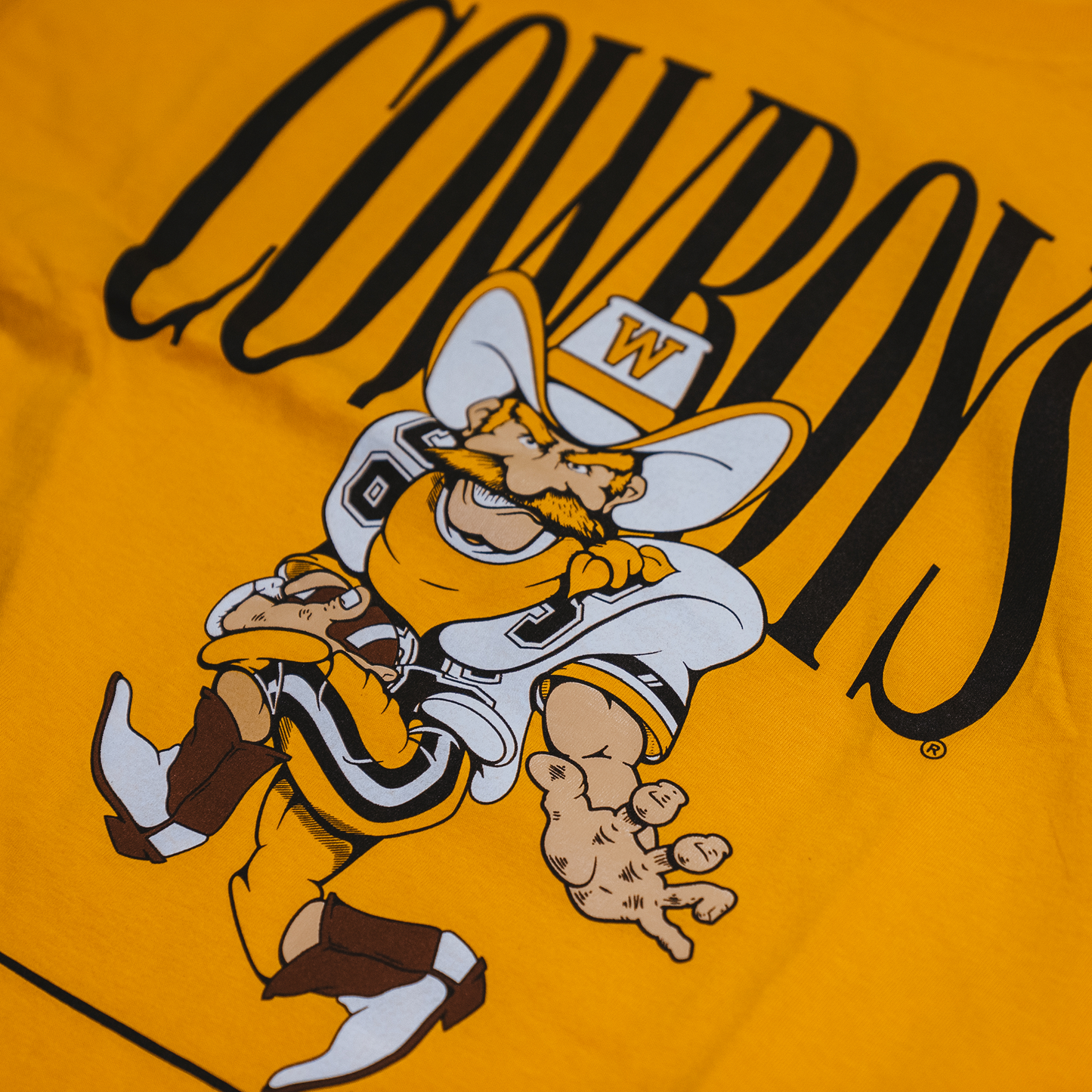 Vintage Cowboys Football