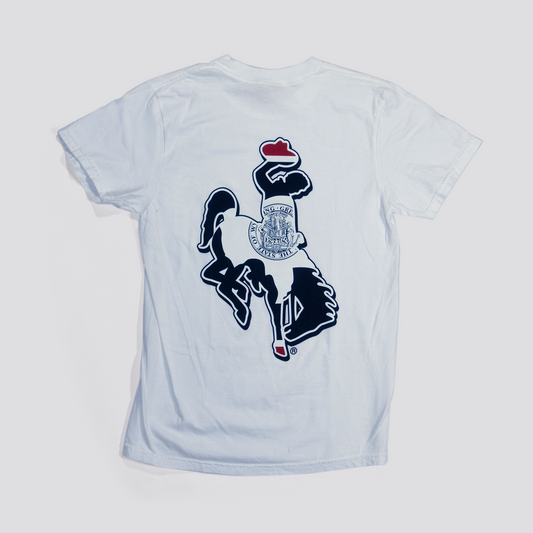 Wyoming Steamboat Flag