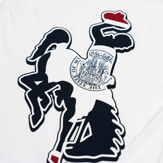 Wyoming Steamboat Flag