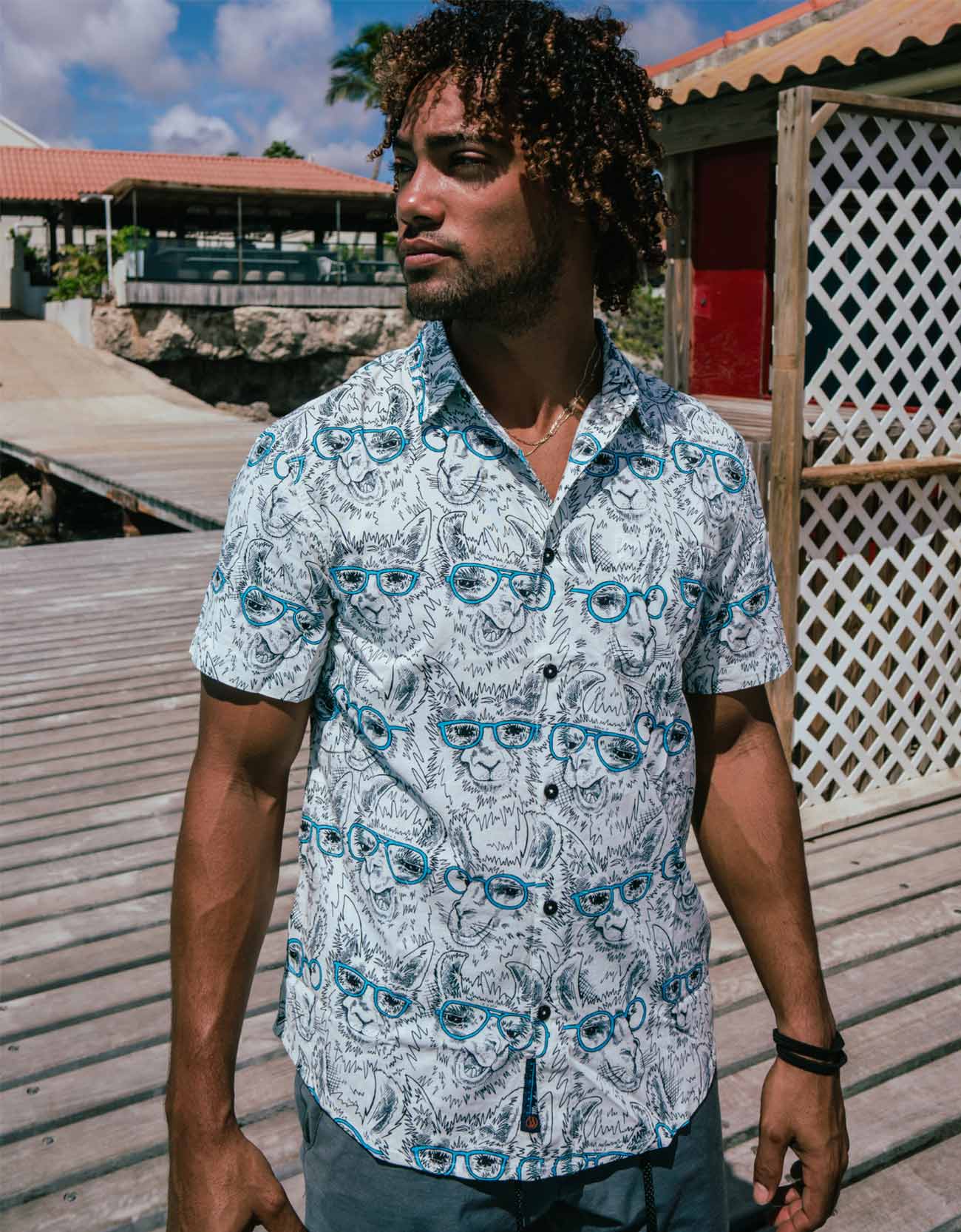 LLAMA M.D. - 7-SEAS™ BUTTON UP