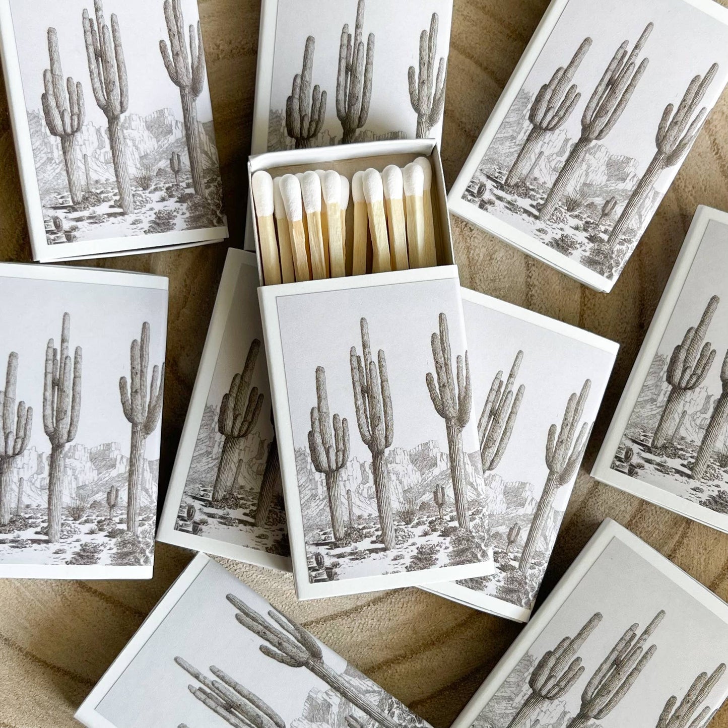 Desert Cactus Match Set // Vintage Landscape