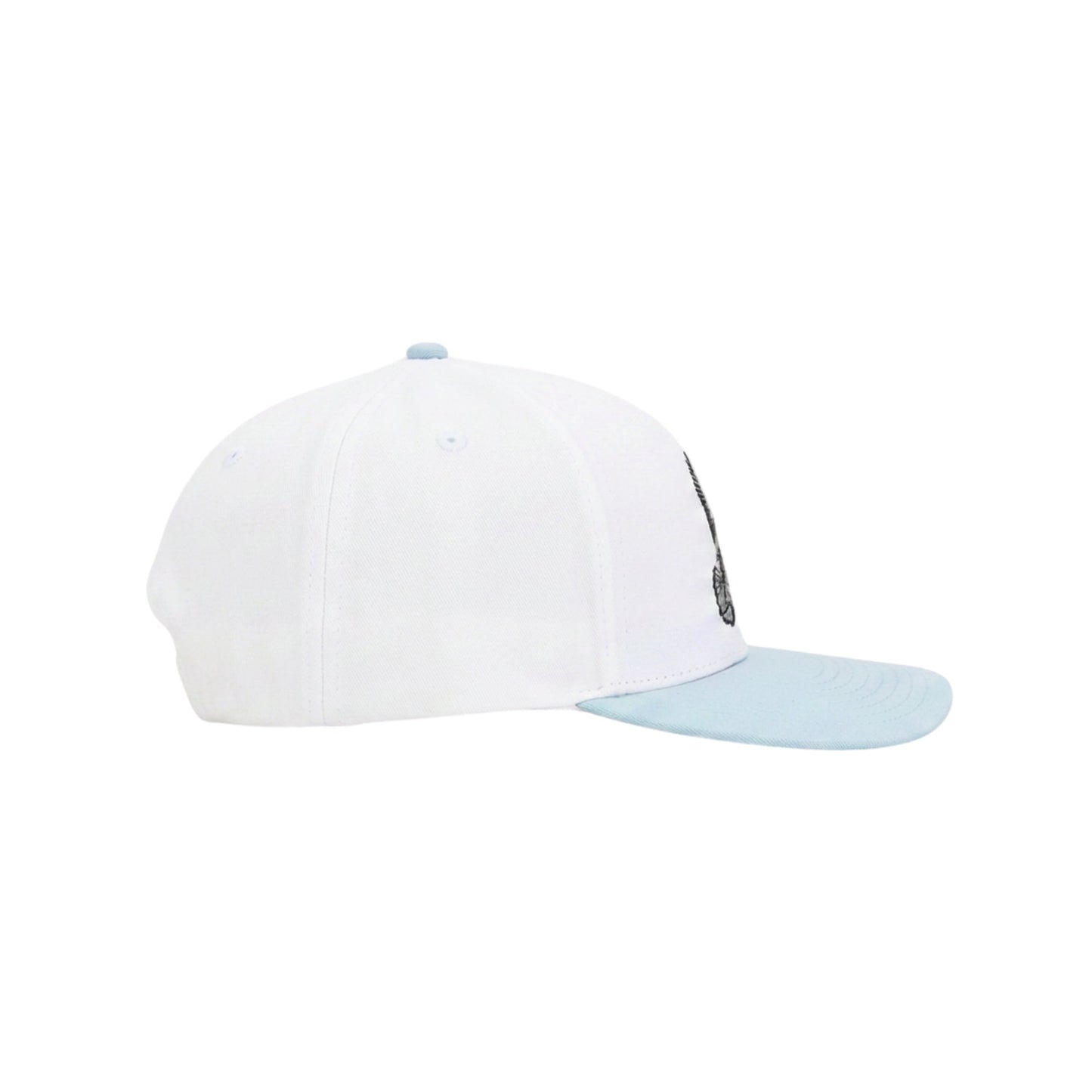 Blue Wing Teal Hat