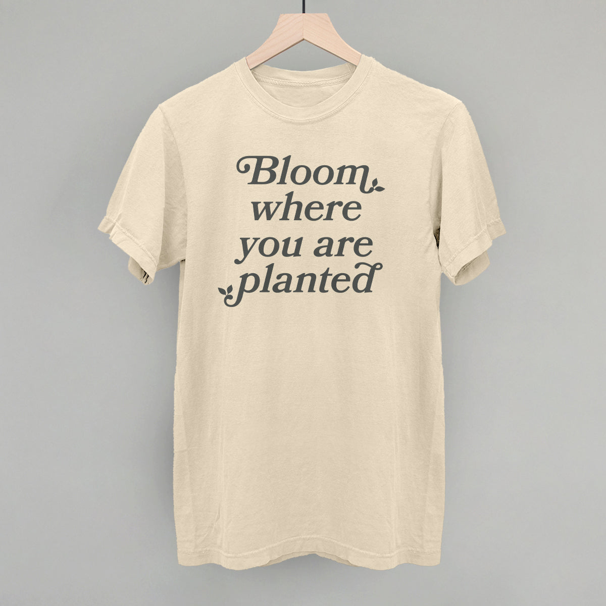 Bloom Where You Are Planted