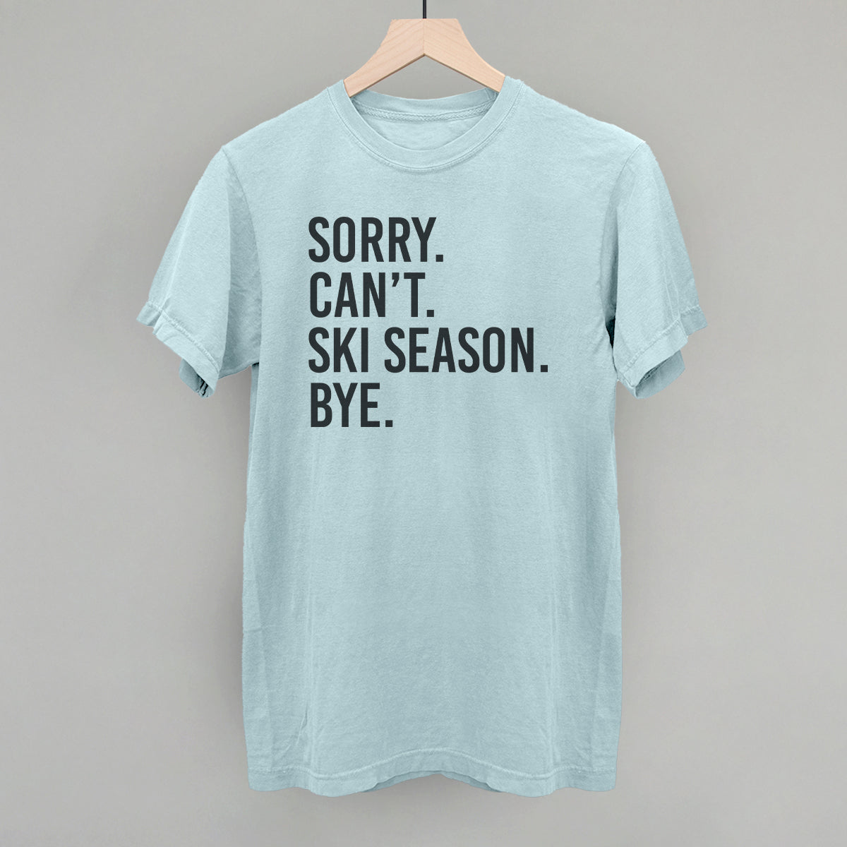 Sorry Can't Ski Season Bye