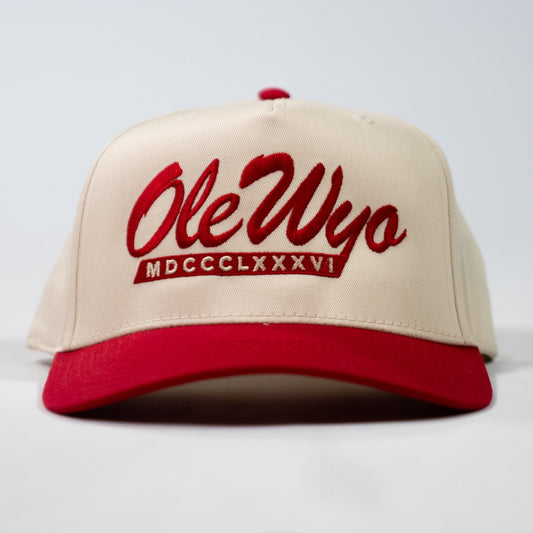OLE WYO Script