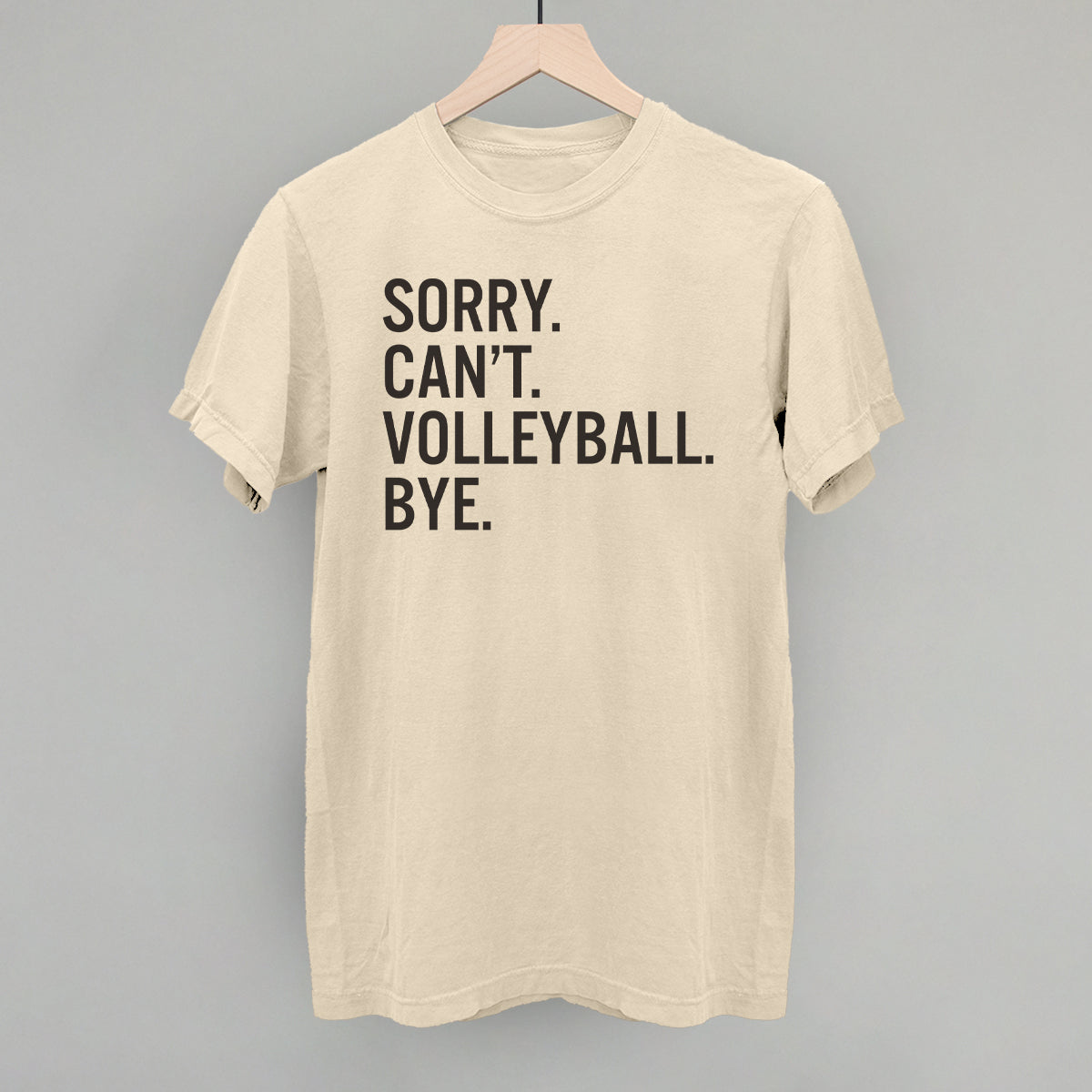 Sorry Can't Volleyball Bye