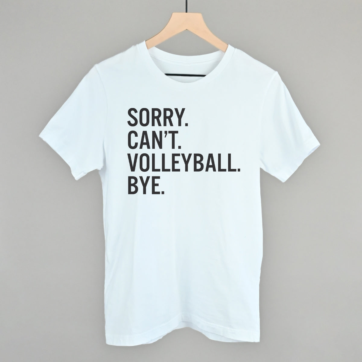 Sorry Can't Volleyball Bye