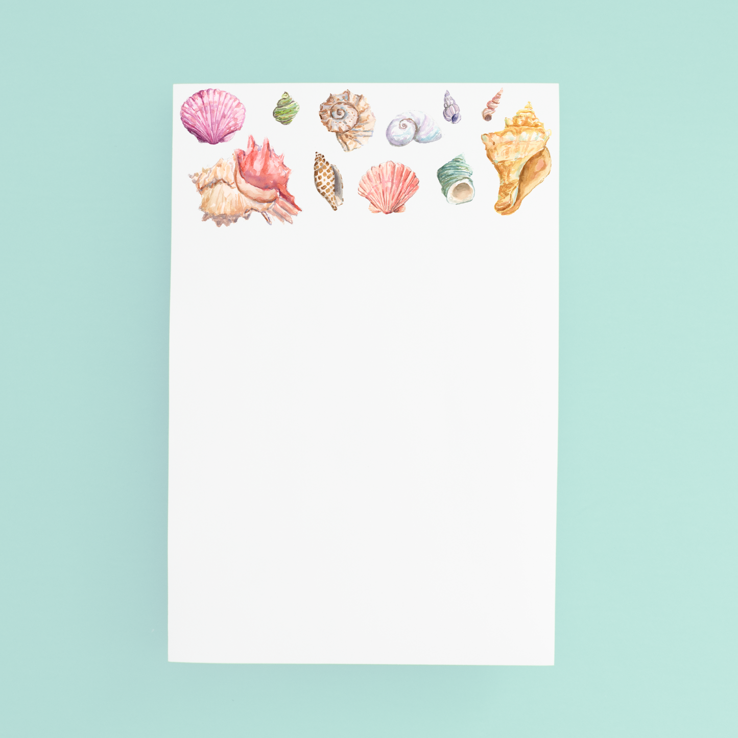 Seashell Jumbo Pad