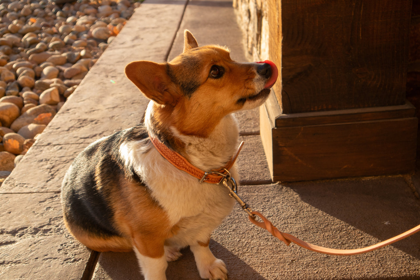 Natural Basket Dog Leash