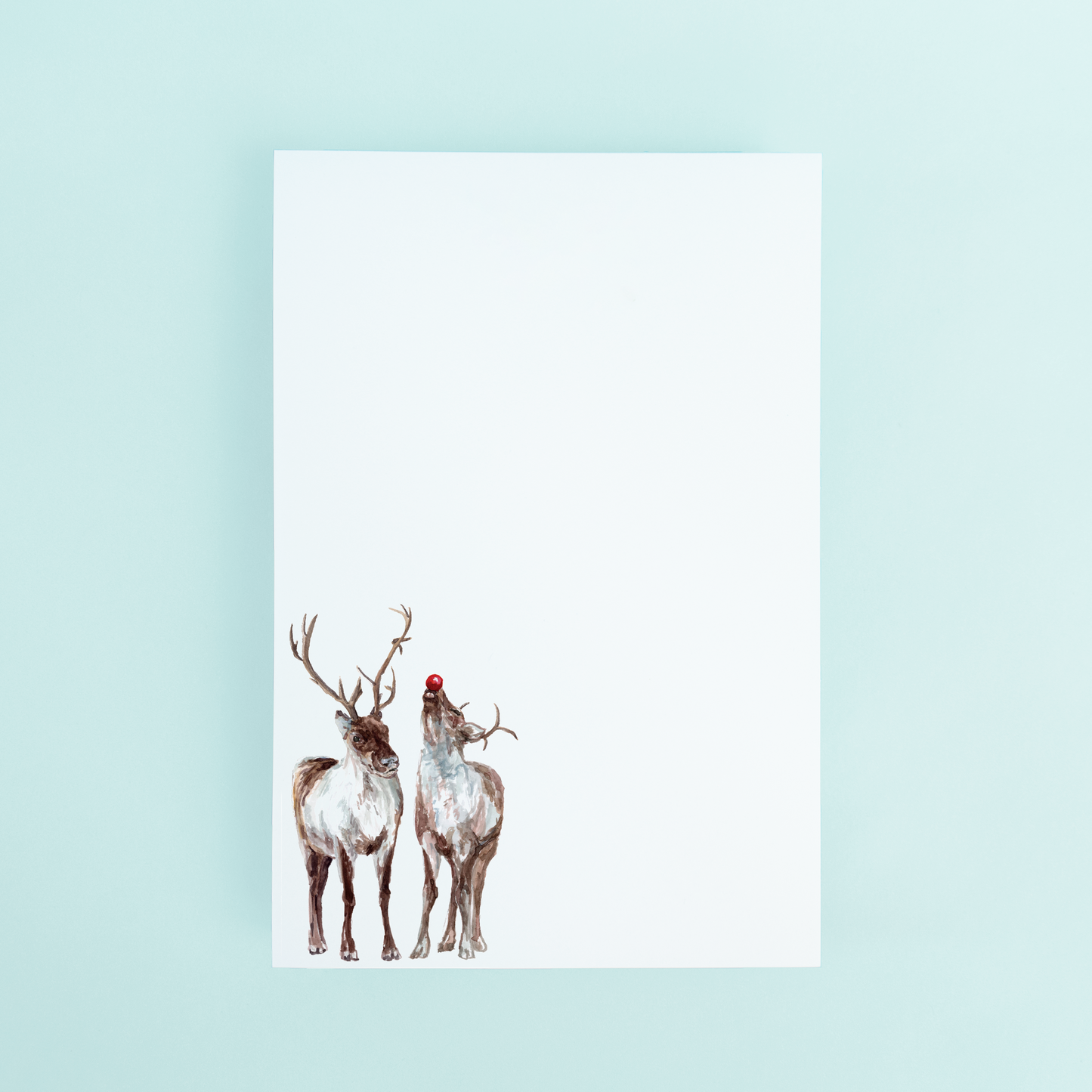 Reindeer