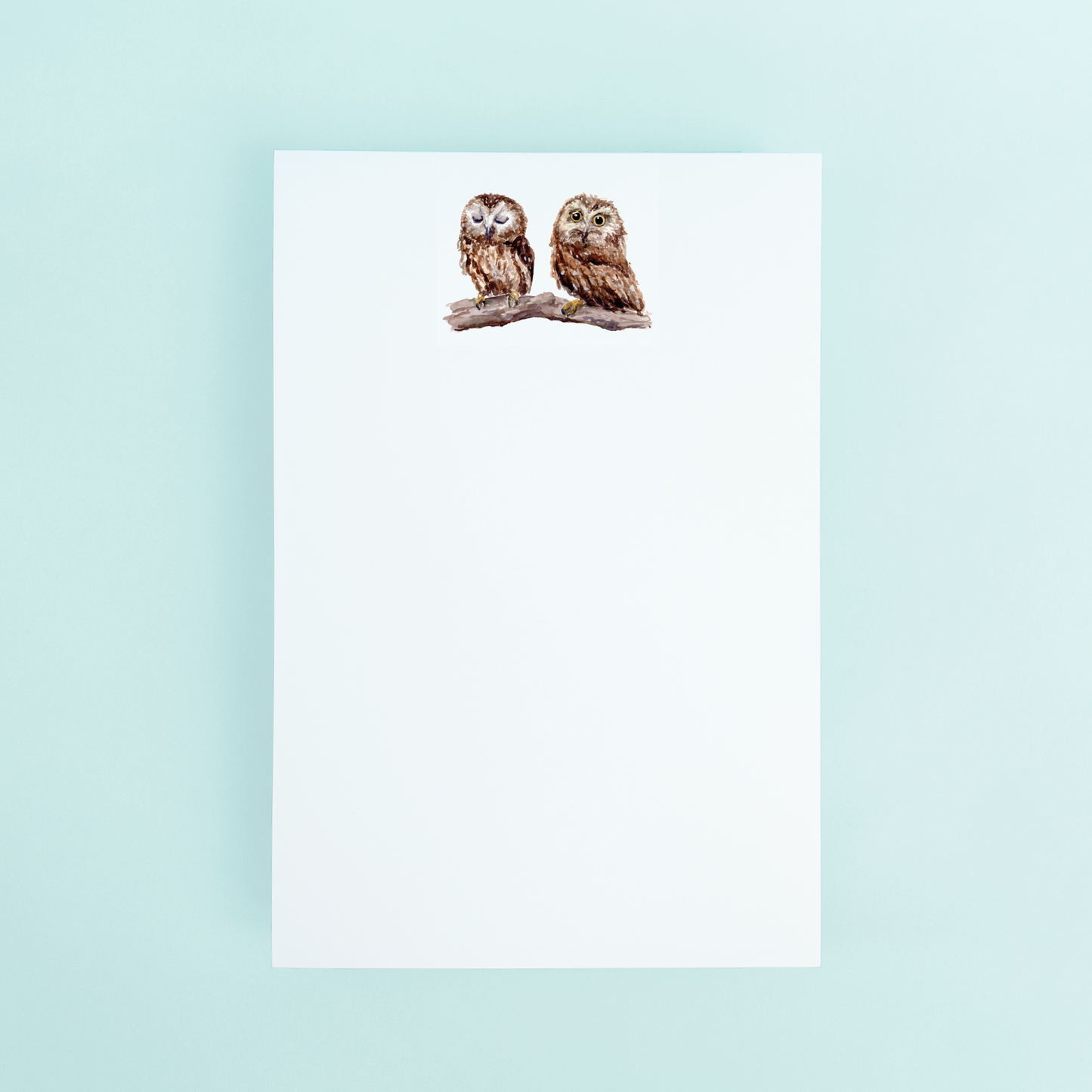 Baby Owls