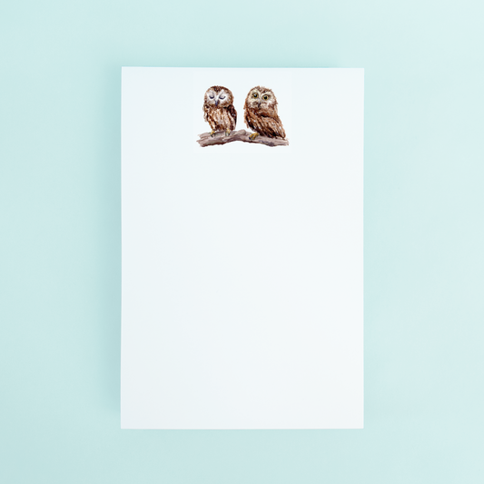 Baby Owls