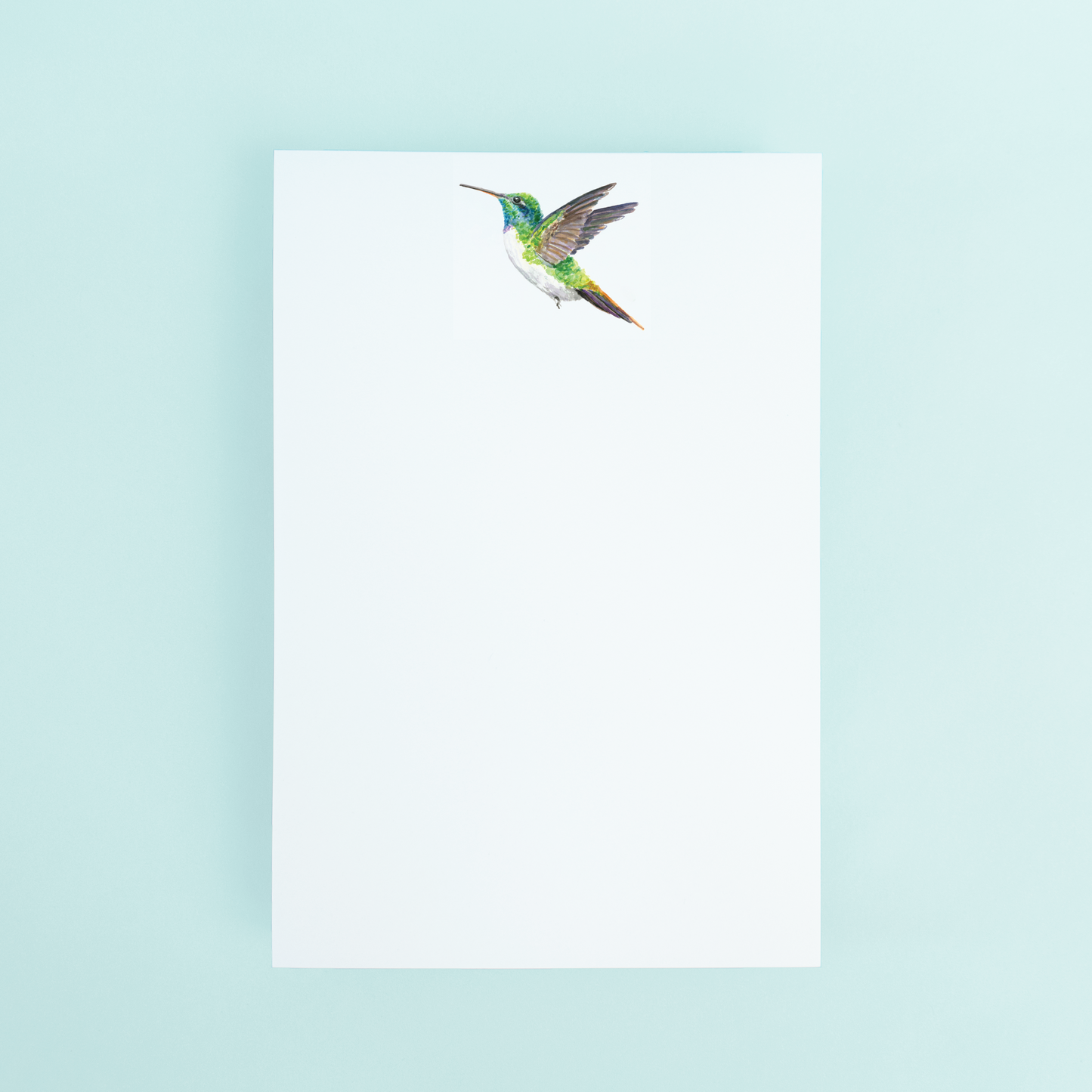 Hummingbird
