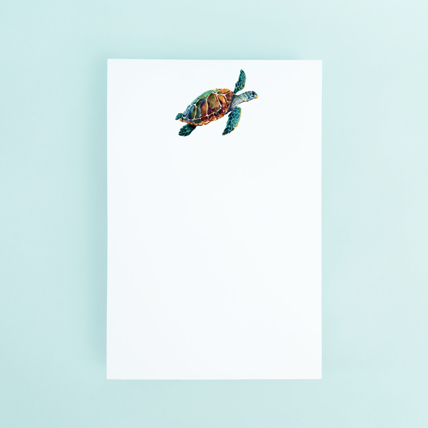Sea Turtle