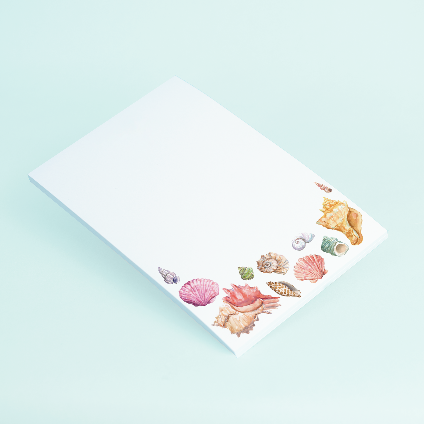 Seashells