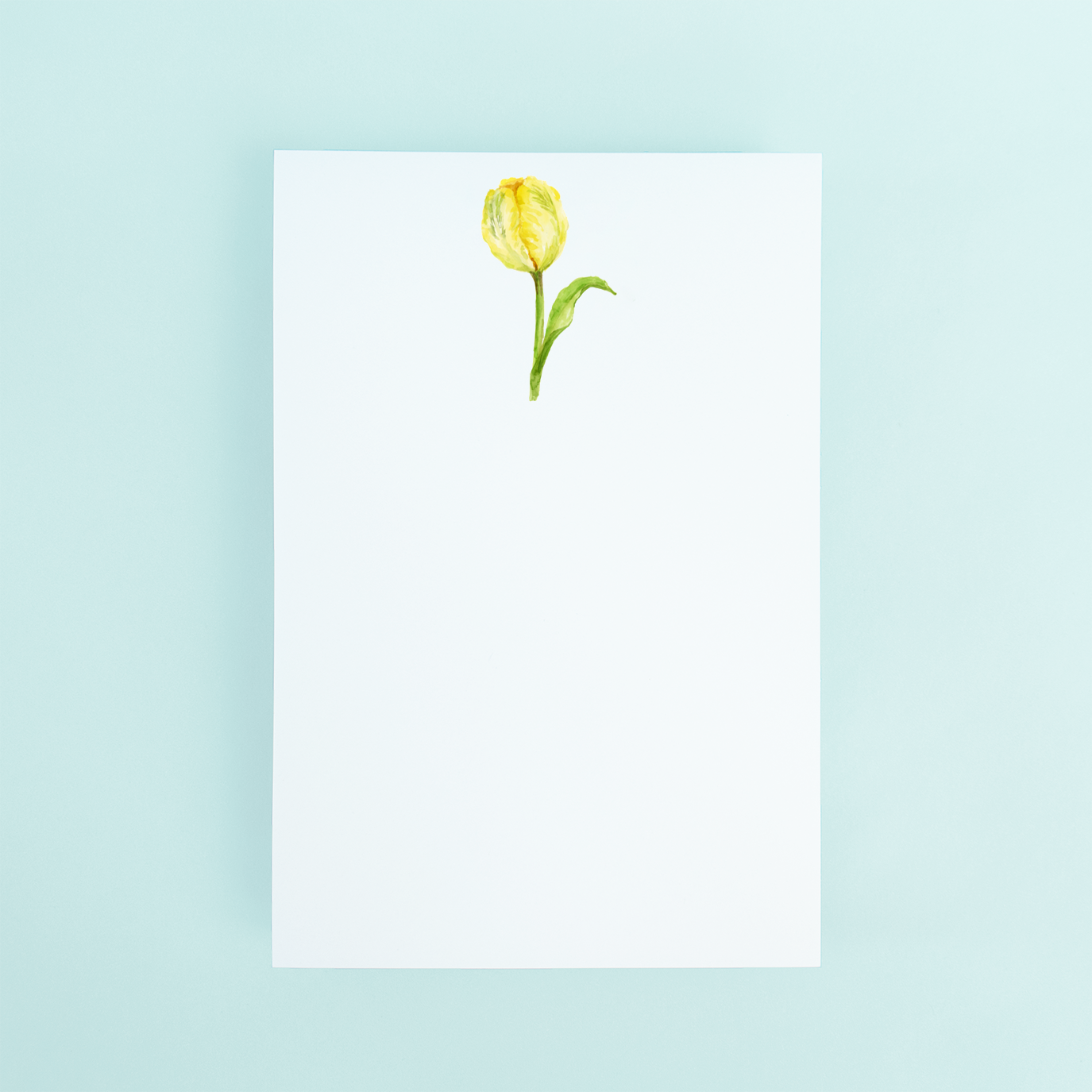 Yellow Tulip