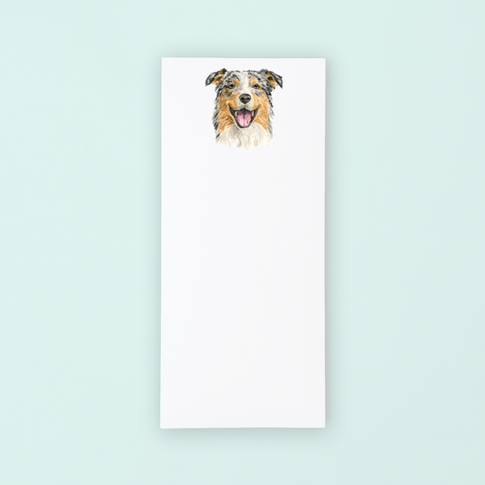 Australian Shepherd Portrait