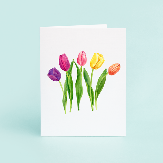 Tulips