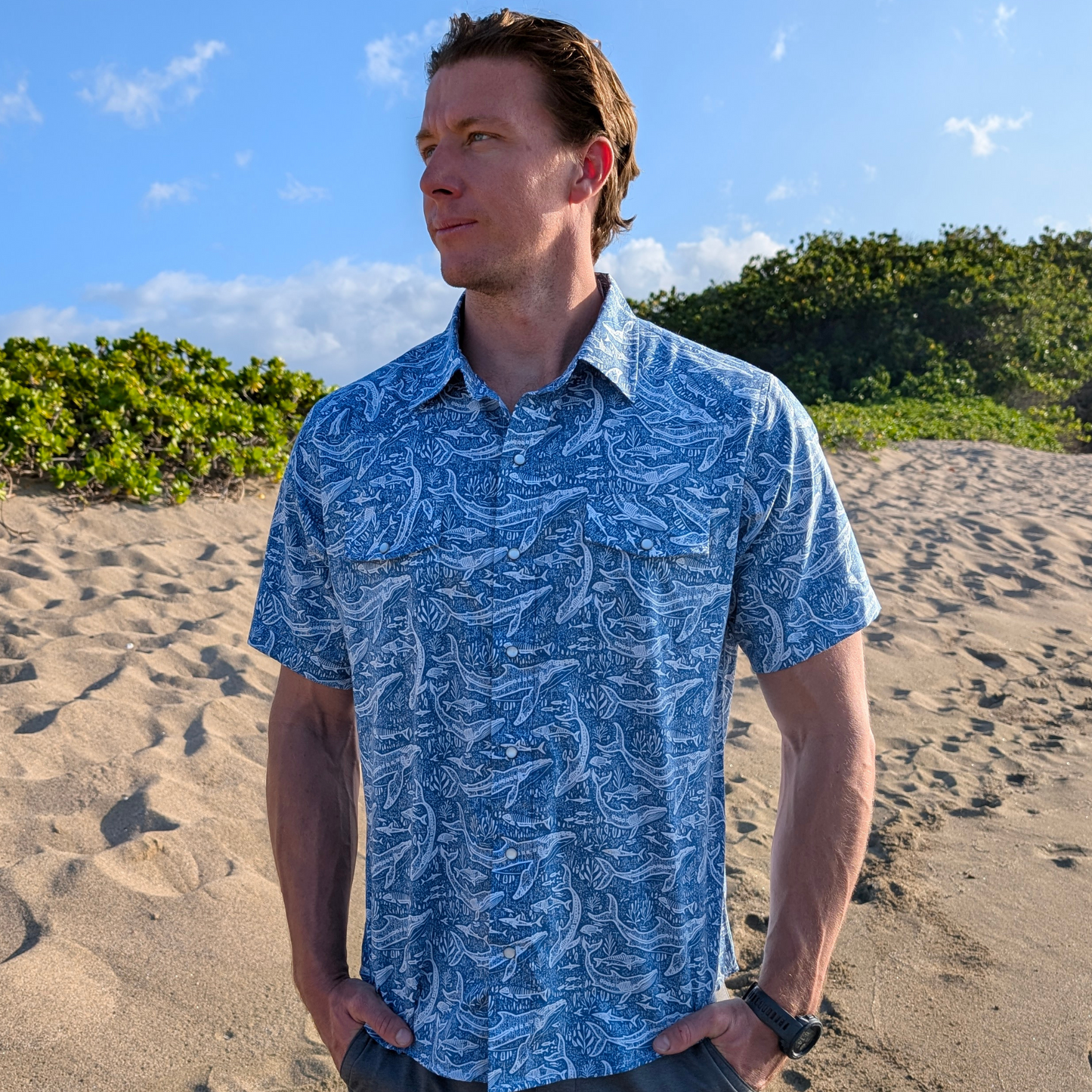 Humpbacks And Tigers