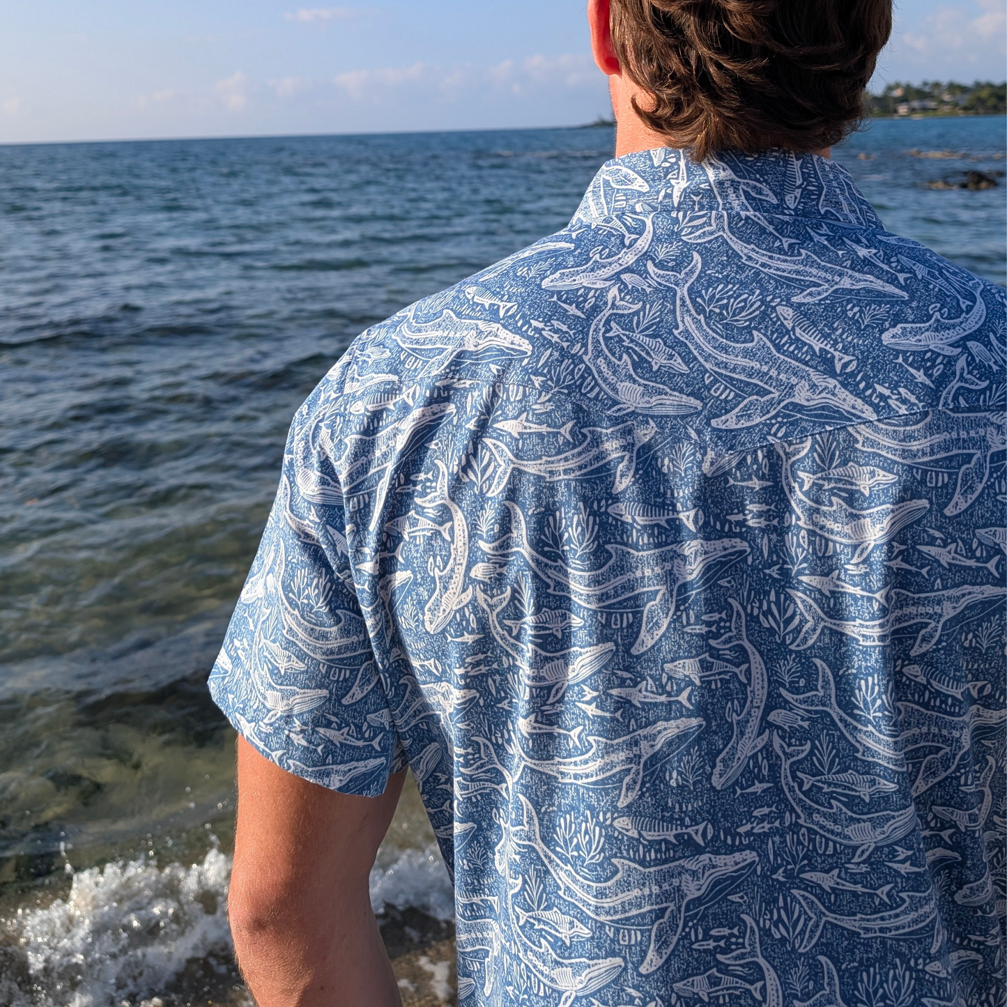 Humpbacks And Tigers