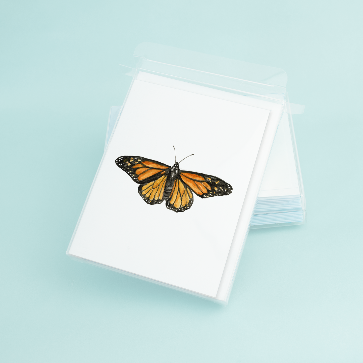 Monarch Butterfly