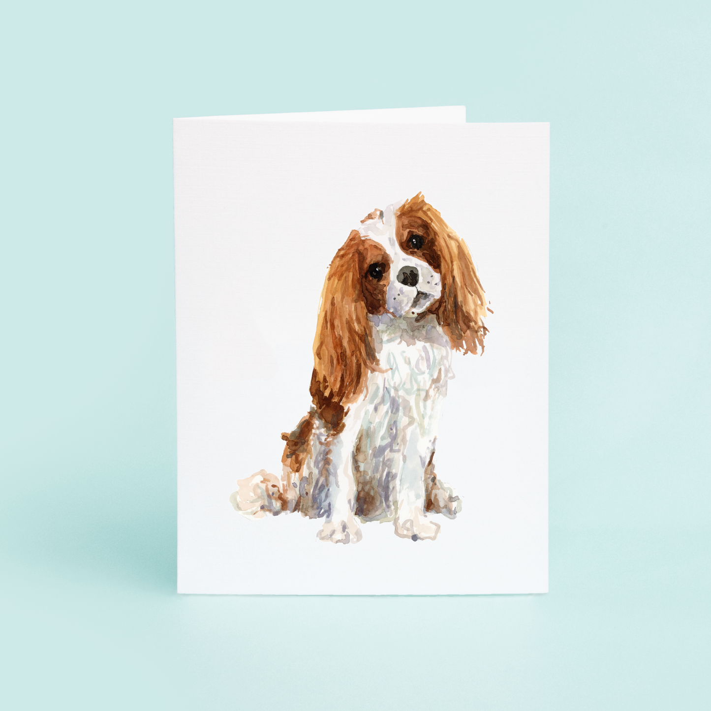 Cavalier King Charles