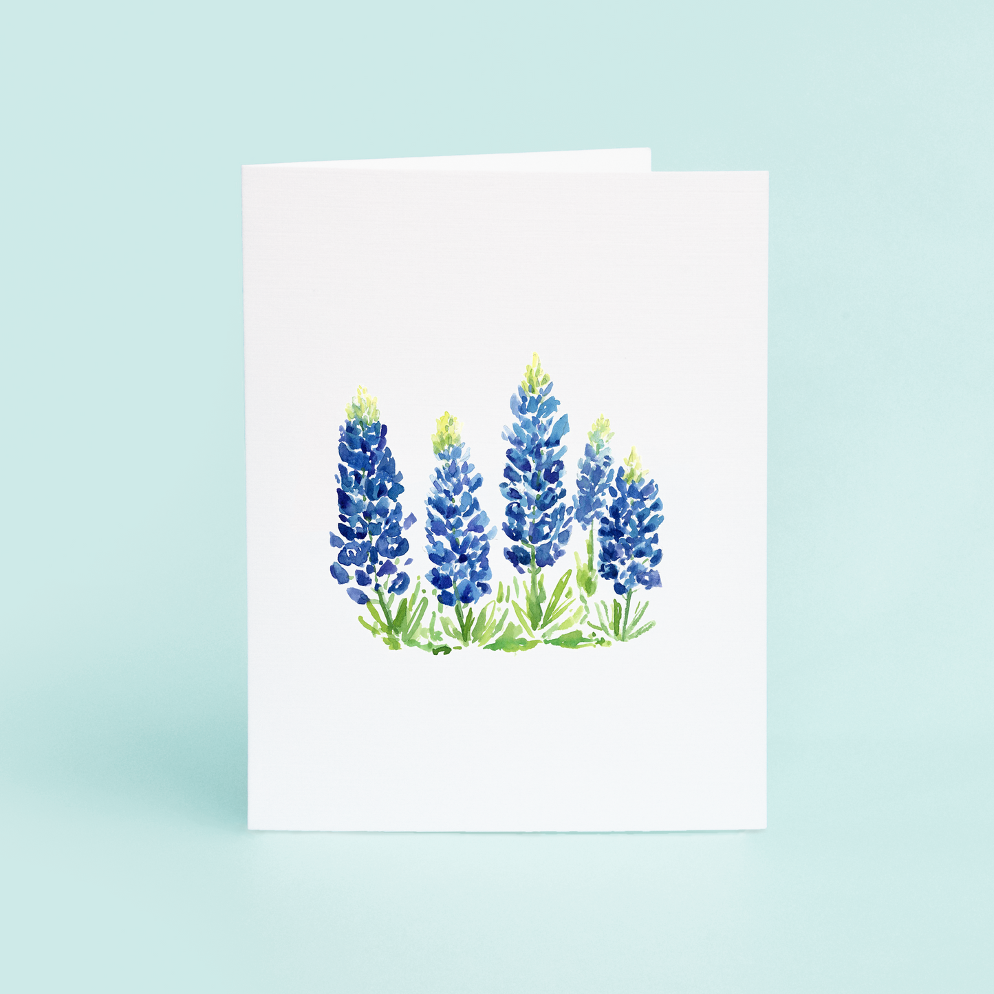 Bluebonnets Field