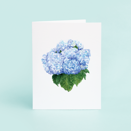 Blue Hydrangea Bundle