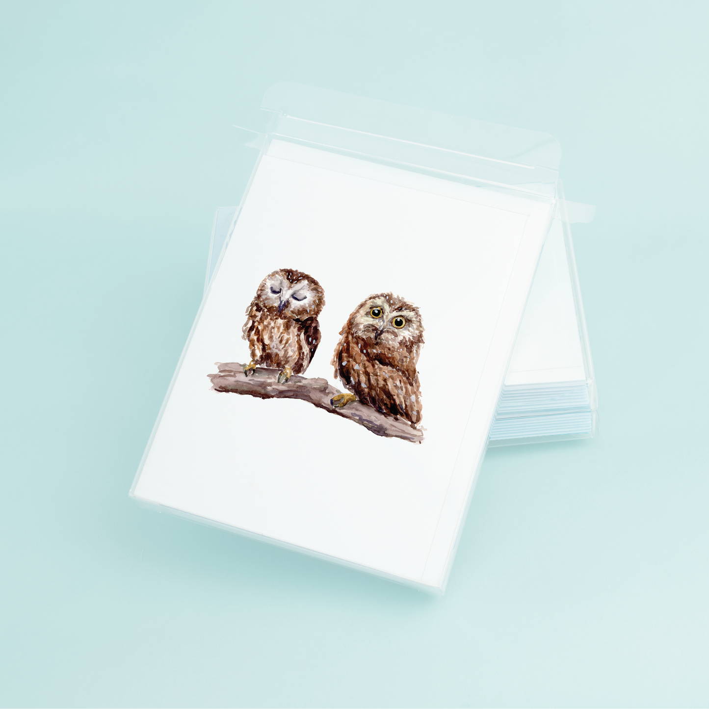 Baby Owls