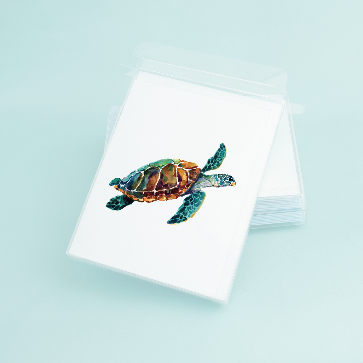 Sea Turtle