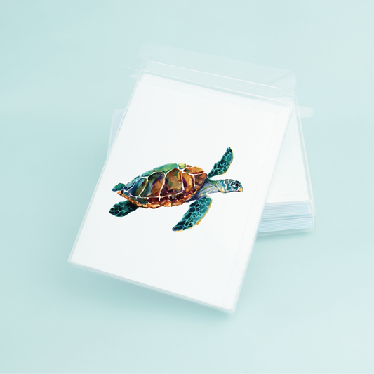 Sea Turtle