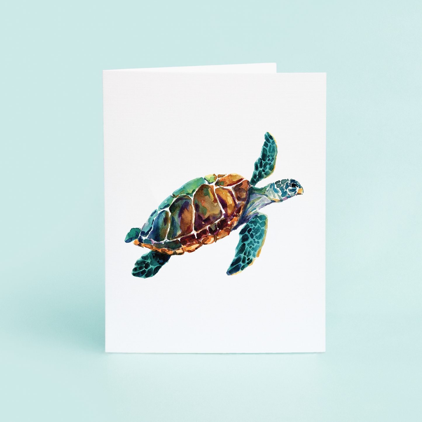 Sea Turtle