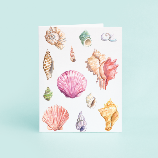 Seashells