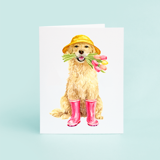 Dog in Rainboots
