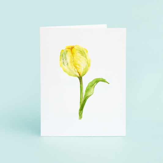 Yellow Tulip