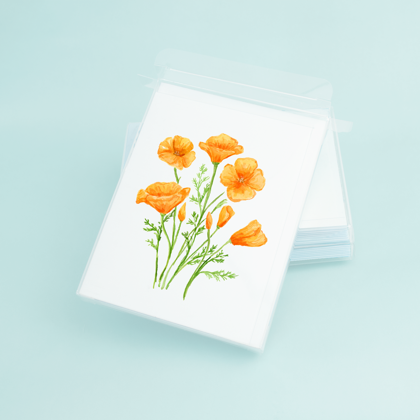 Poppies