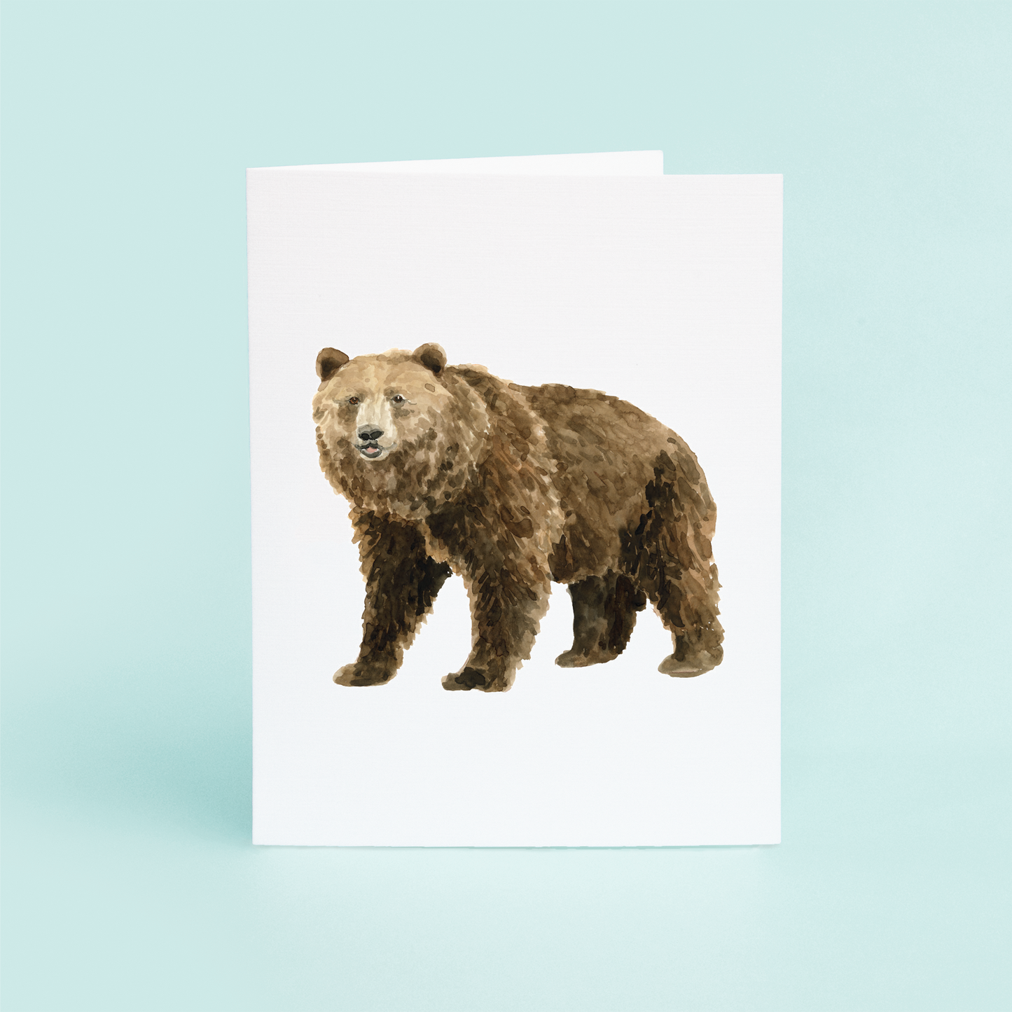 Bear