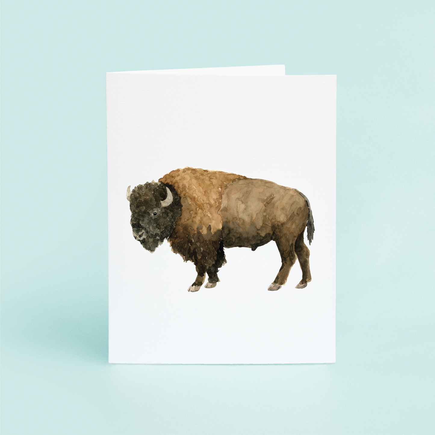 Bison