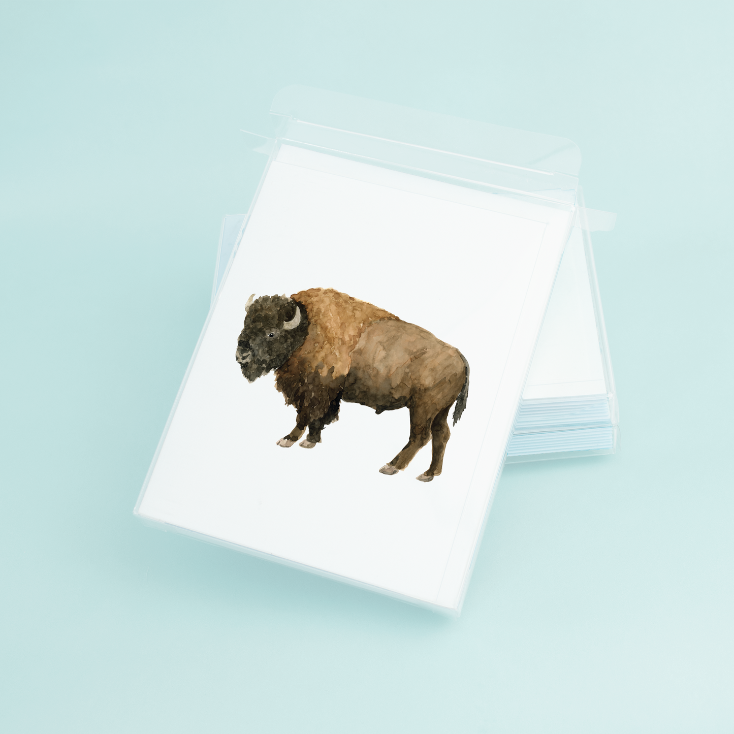 Bison